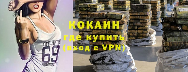 ешки Аркадак