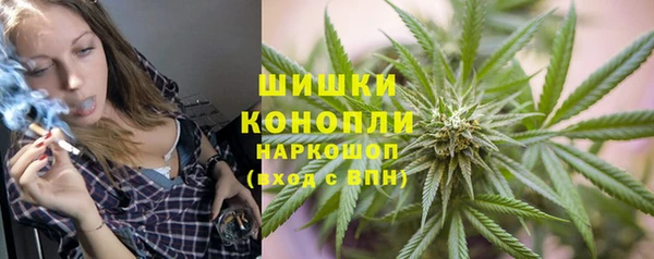 ешки Аркадак