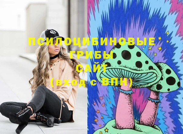 ешки Аркадак