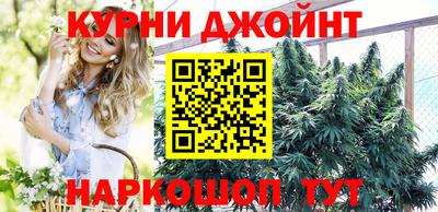 мяу мяу мука Гай