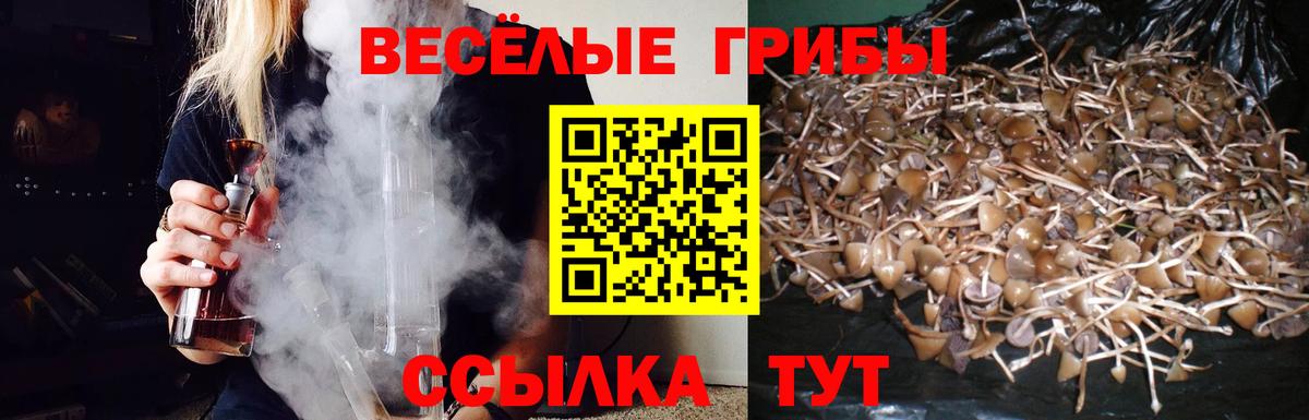 Псилоцибиновые грибы ЛСД Павлово