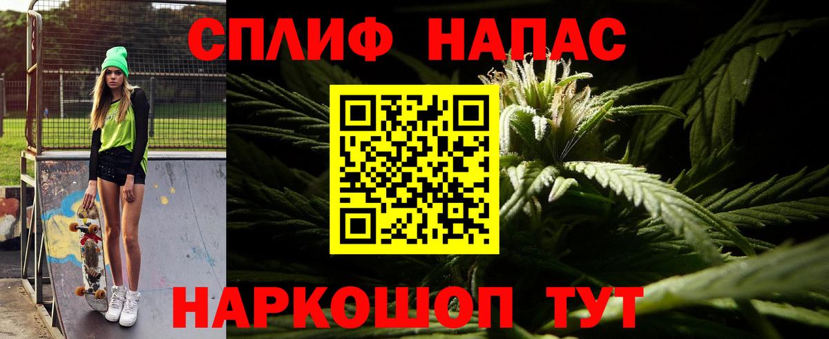 Бошки марихуана конопля Павлово